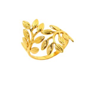 Anillo Teheran