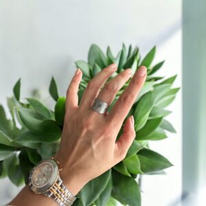 Anillo Gaia