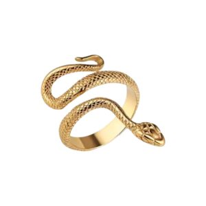 Anillo Snake
