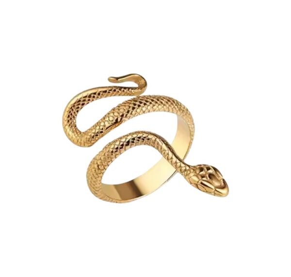 Anillo Snake